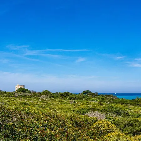 Masseria Pizzo Nyaraló *